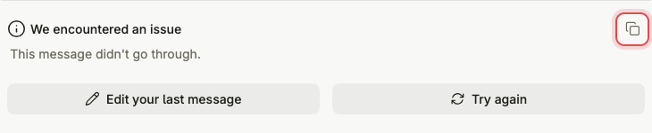 The error panel in the chat, with the copy icon in the top right corner highlighted